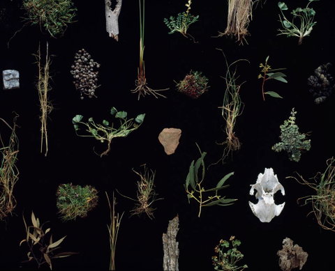 Weswal Gallery - Find Attractions 0