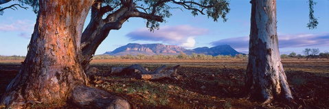 Nissarana Galleries Noosa - Find Attractions 1