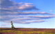 Nissarana Galleries Noosa - thumb 2