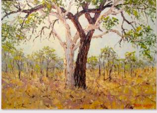 Peter Lawson Fine Art - Find Attractions 1
