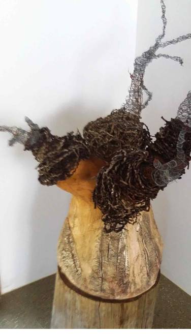 Caldera Wildscapes Gallery - Find Attractions 0