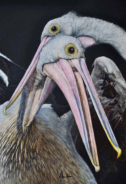 Caldera Wildscapes Gallery - Find Attractions 1