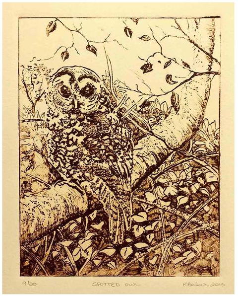 Caldera Wildscapes Gallery - Find Attractions 3