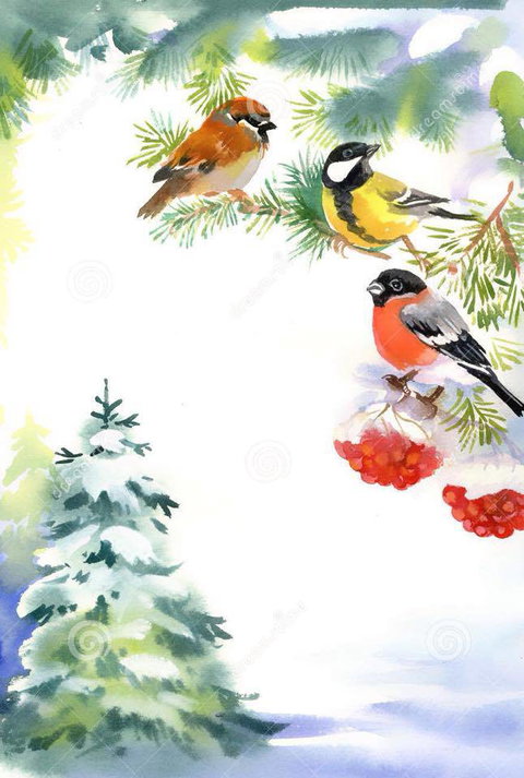 Two Birds Gallery - Find Attractions 2