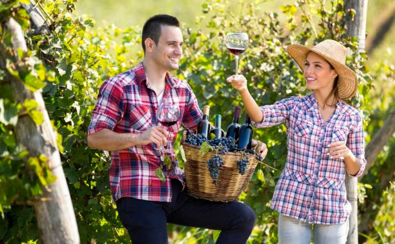 Korora NSW Find Attractions
