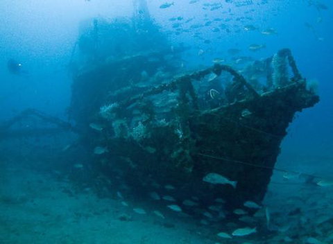 Kirra Dive “On The Tweed” - Find Attractions 4