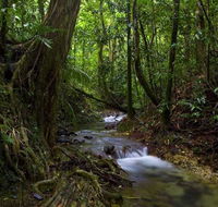 Trek North - Find Attractions