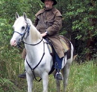 AAA Horse Riding  More - Find Attractions
