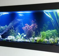 Aquariums in Cairns - Find Attractions