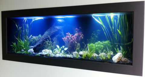 Aquariums In Cairns - Find Attractions 0