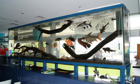 Aquariums In Cairns - Find Attractions 2