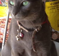 Pets and Saddles - Find Attractions