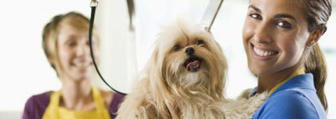 Port Stephens Pet Barn - Find Attractions 1