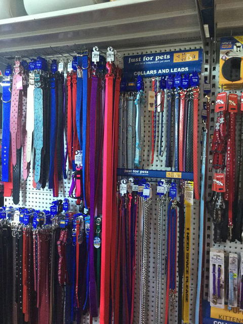 Port Stephens Pet Barn - Find Attractions 3