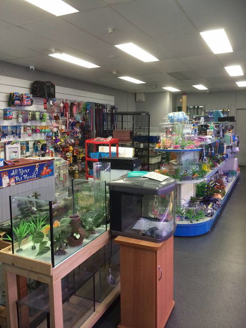 Nambour Pet Shop - Find Attractions 0