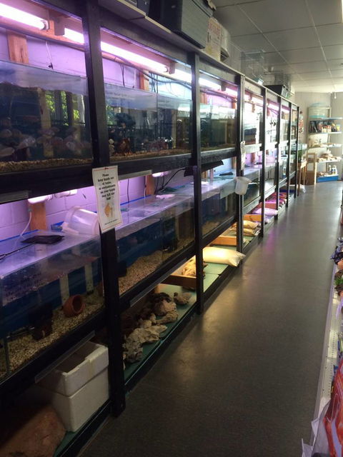 Nambour Pet Shop - Find Attractions 1