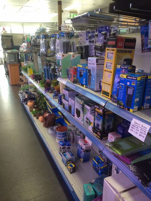 Nambour Pet Shop - Find Attractions 2