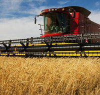 Quirindi Grain and produce - Find Attractions