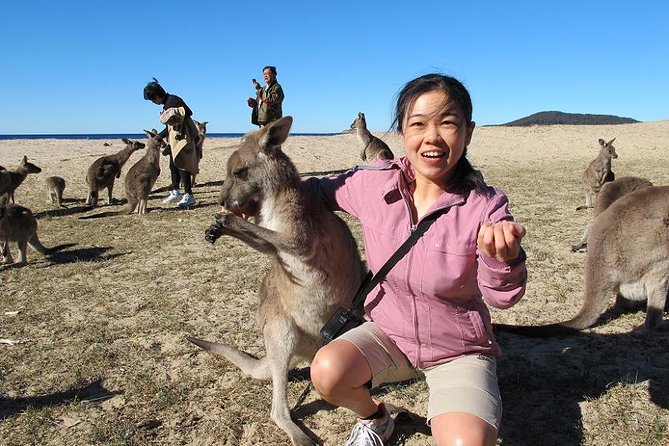Batemans Bay Full-Day Tour from Canberra Including Indigenous Experience Canberra
