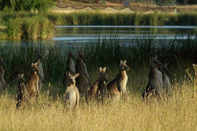 Canberra - The National Capital  Full Day Private Tour  Departs from Sydney Sydney