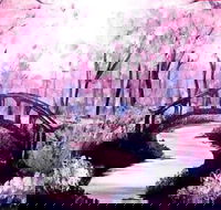 Pink Forest - Boardwalk Bar 4.00-6.00pm - Find Attractions
