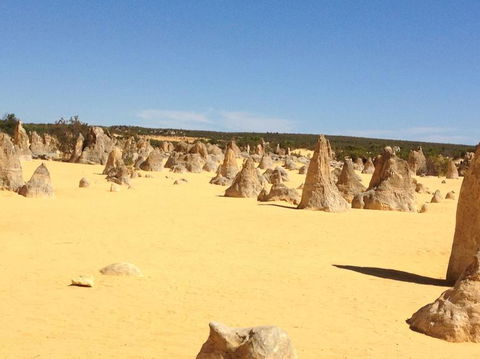 Pinnacles Desert, Koalas And Sandboarding 4WD Day Tour From Perth - Find Attractions 15