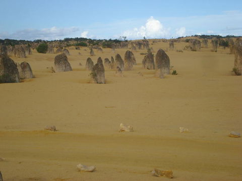 Pinnacles Desert, Koalas And Sandboarding 4WD Day Tour From Perth - Find Attractions 23