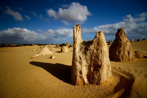 Pinnacles Desert, Koalas And Sandboarding 4WD Day Tour From Perth - Find Attractions 6