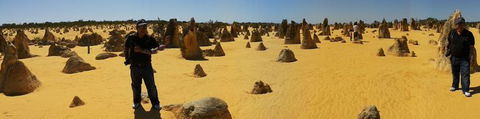 Pinnacles Desert, Koalas And Sandboarding 4WD Day Tour From Perth - Find Attractions 11