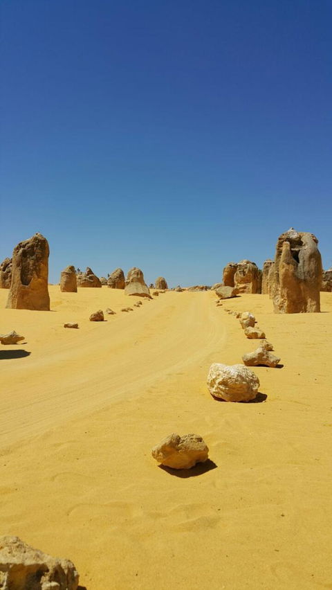 Pinnacles Desert, Koalas And Sandboarding 4WD Day Tour From Perth - Find Attractions 3