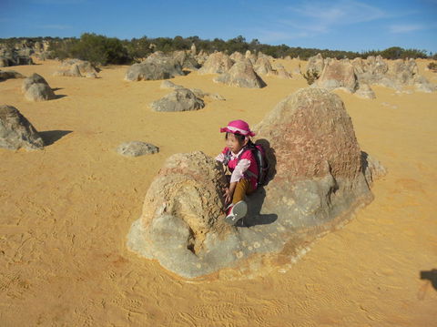 Pinnacles Desert, Koalas And Sandboarding 4WD Day Tour From Perth - Find Attractions 7