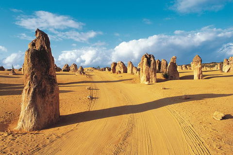 Pinnacles Desert, Koalas And Sandboarding 4WD Day Tour From Perth - Find Attractions 0