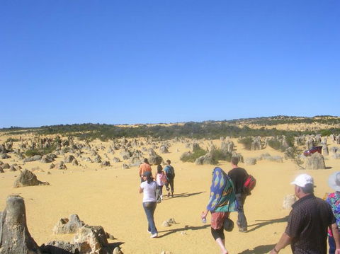 Pinnacles Desert, Koalas And Sandboarding 4WD Day Tour From Perth - Find Attractions 25