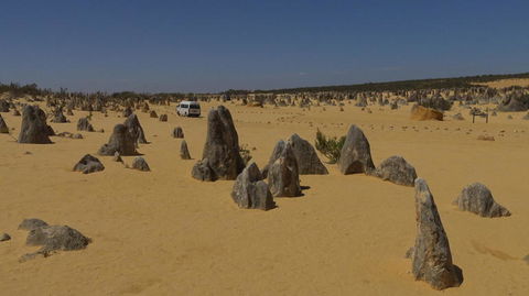 Pinnacles Desert, Koalas And Sandboarding 4WD Day Tour From Perth - Find Attractions 4