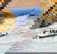 Horizontal Falls Half-Day Tour from Broome - Find Attractions