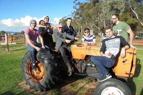 1/2 Day Swan Valley Wine Cheese & Chocolate Tour Inc Afternoon Cruise To Perth - Find Attractions 8