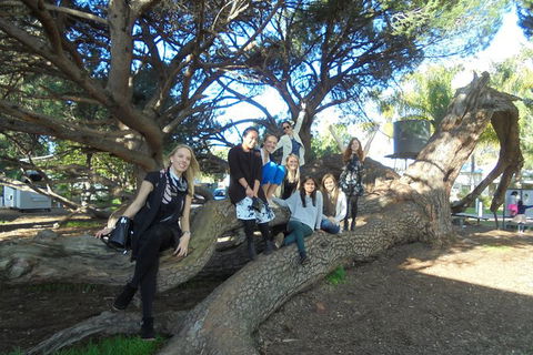 1/2 Day Swan Valley Wine Cheese & Chocolate Tour Inc Afternoon Cruise To Perth - Find Attractions 10
