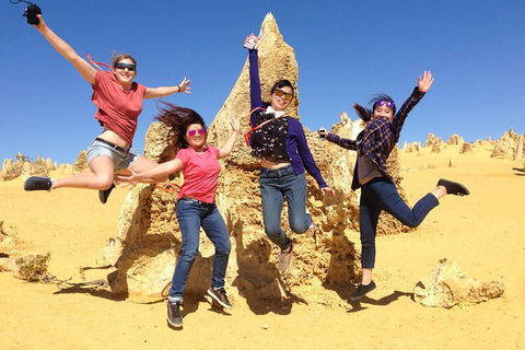 Pinnacles And Swan Valley Day Trip From Perth Including Caversham Wildlife Park, Vineyard Lunch, Pinnacles And Sandboarding - Find Attractions 0