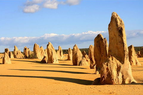 Pinnacles And Yanchep National Park Day Trip From Perth Including Lobster Shack Lunch And Sandboarding - Find Attractions 9
