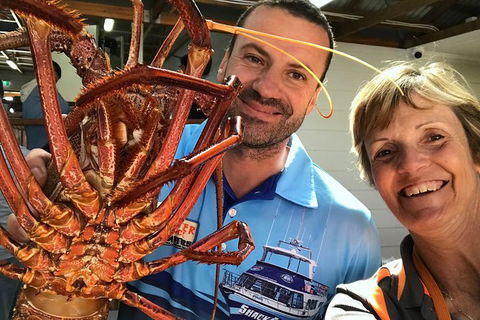 Pinnacles And Yanchep National Park Day Trip From Perth Including Lobster Shack Lunch And Sandboarding - Find Attractions 3