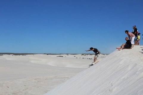 Pinnacles And Yanchep National Park Day Trip From Perth Including Lobster Shack Lunch And Sandboarding - Find Attractions 4
