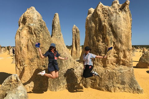 Pinnacles And Yanchep National Park Day Trip From Perth Including Lobster Shack Lunch And Sandboarding - Find Attractions 2