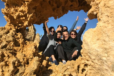 Pinnacles And Yanchep National Park Day Trip From Perth Including Lobster Shack Lunch And Sandboarding - Find Attractions 5