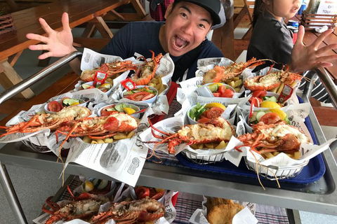 Pinnacles And Yanchep National Park Day Trip From Perth Including Lobster Shack Lunch And Sandboarding - Find Attractions 7