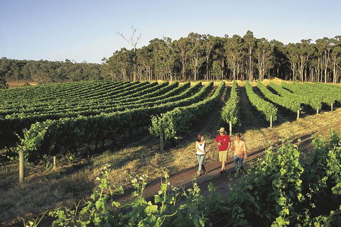 Margaret River, Caves, Wine And Cape Leeuwin Lighthouse Tour From Perth - Find Attractions 26