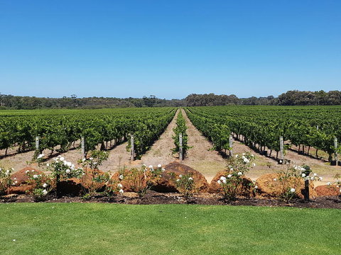Margaret River Food, Wine & Sightseeing Tour From Perth - Find Attractions 5