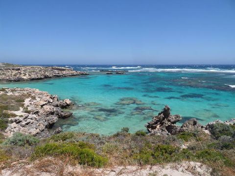 Rottnest Island Tour From Perth Or Fremantle Including Adventure Speed Boat Ride - Find Attractions 3