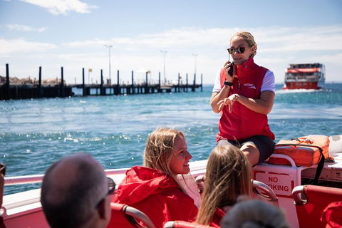 Rottnest Island Tour From Perth Or Fremantle Including Adventure Speed Boat Ride - Find Attractions 0