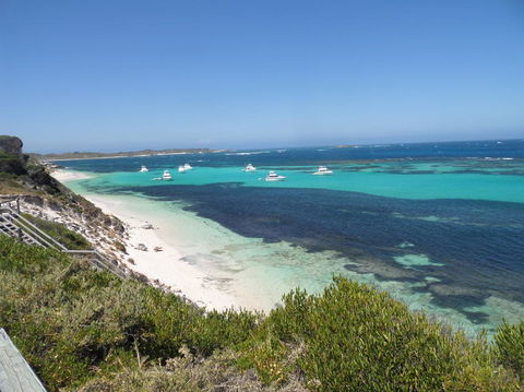 Rottnest Island Tour From Perth Or Fremantle Including Adventure Speed Boat Ride - Find Attractions 2