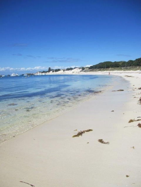 Rottnest Island Tour From Perth Or Fremantle Including Adventure Speed Boat Ride - Find Attractions 4